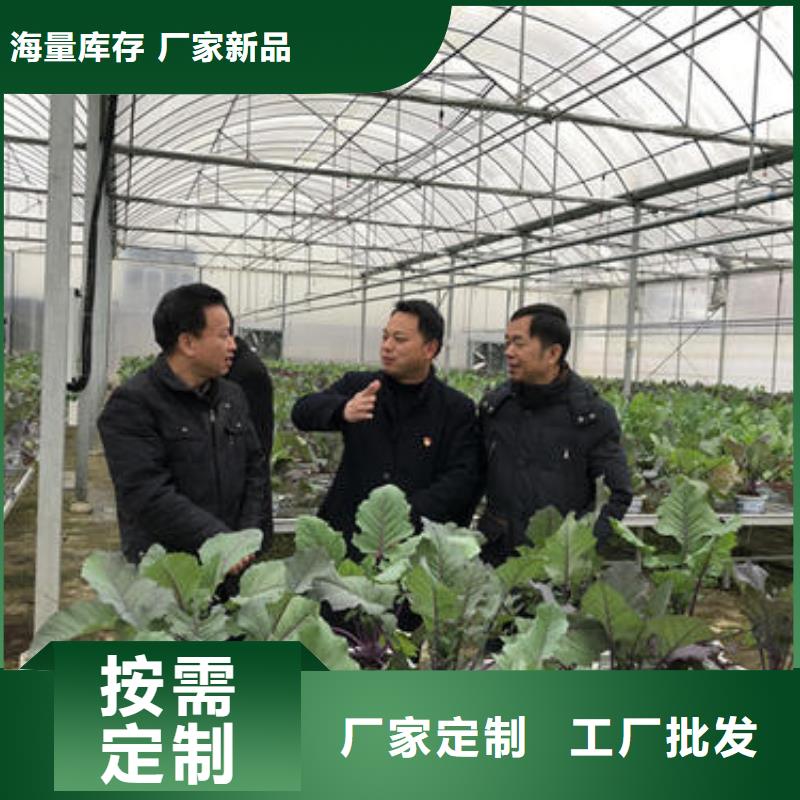 大棚管玻璃溫室大棚源頭采購(gòu)