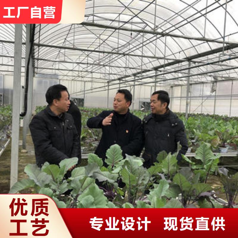 大棚管農(nóng)業(yè)養(yǎng)殖大棚管貨源穩(wěn)定