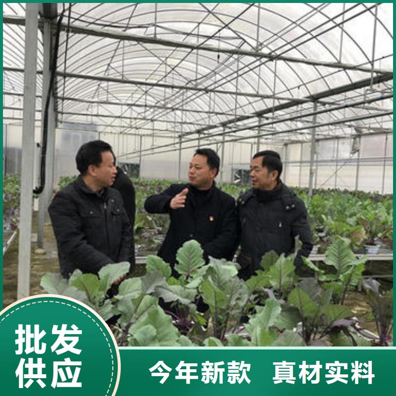 大棚管 溫室大棚管值得買