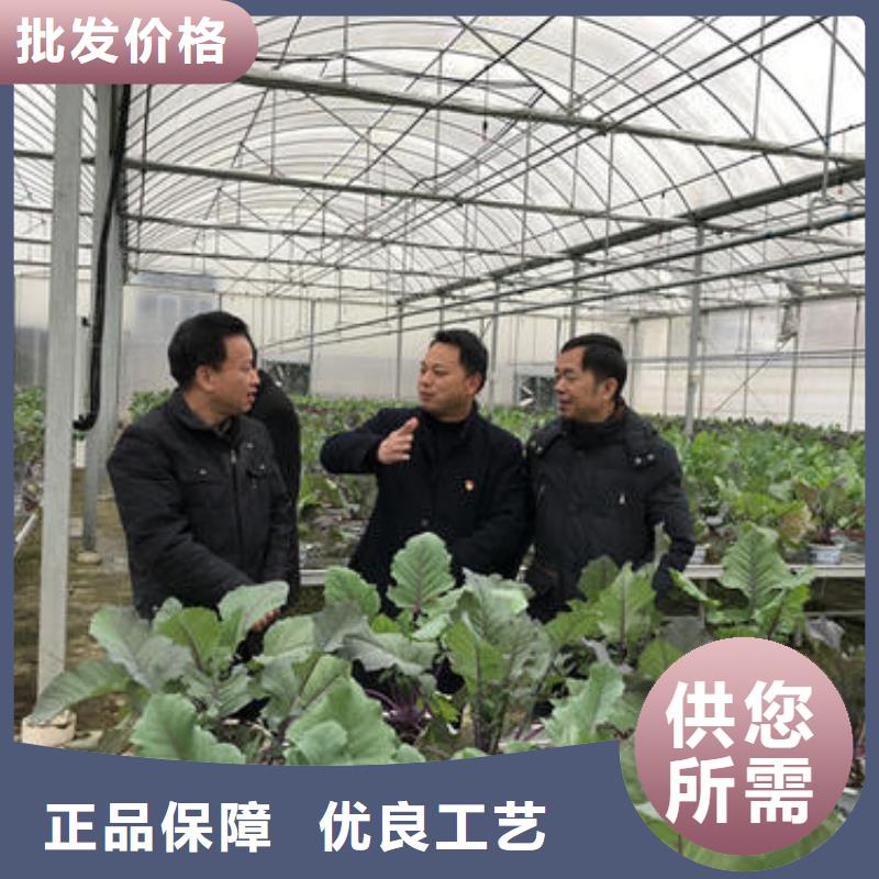 【大棚管】_鍍鋅大棚管低價(jià)貨源