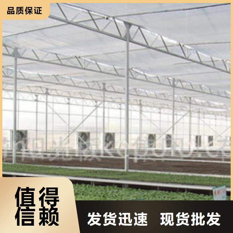 瀘西連棟大棚管設(shè)計(jì)2025已更新