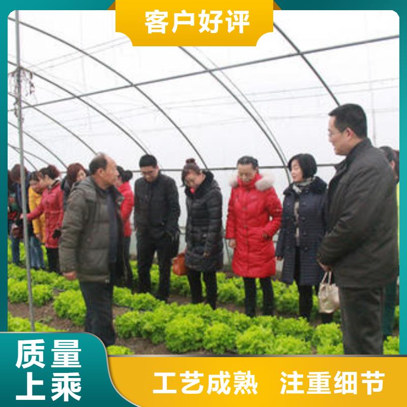  大棚管出貨及時(shí)