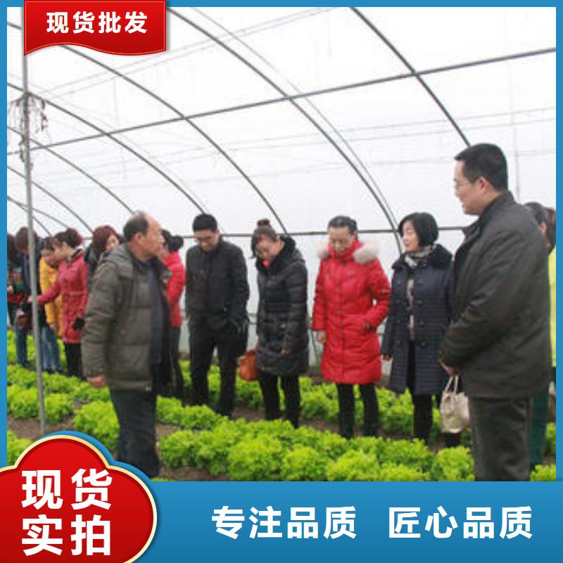 大棚管农业养殖大棚管产地采购