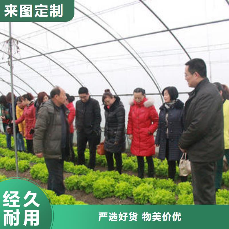 大棚管溫室薄膜大棚隨到隨提