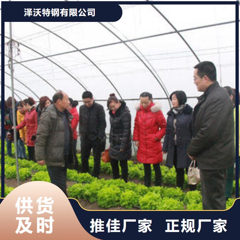 大棚管溫室薄膜大棚隨到隨提