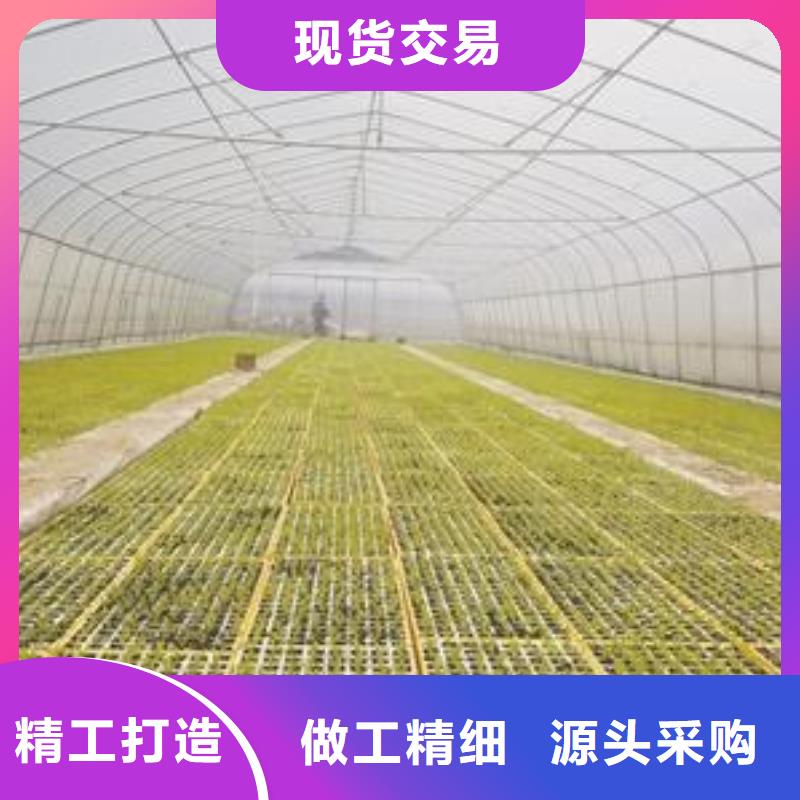 大棚管方管现货销售