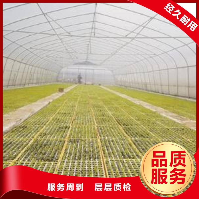大棚管-溫室大棚管保障