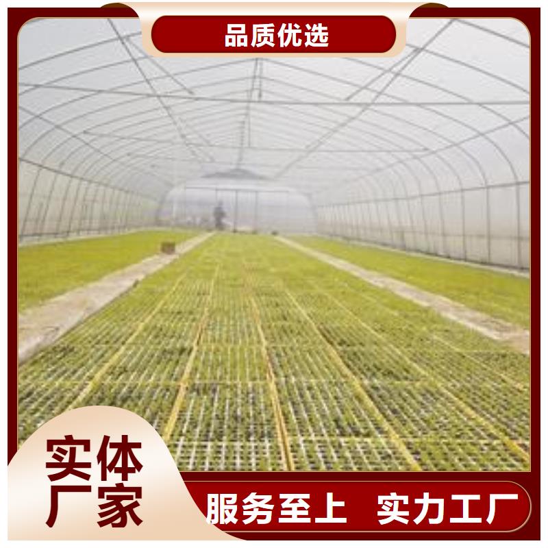 大棚管鍍鋅大棚管多家倉庫發(fā)貨