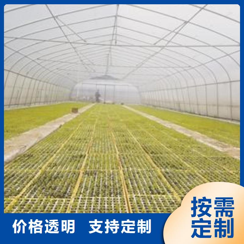 大棚管溫室大棚管商家直供