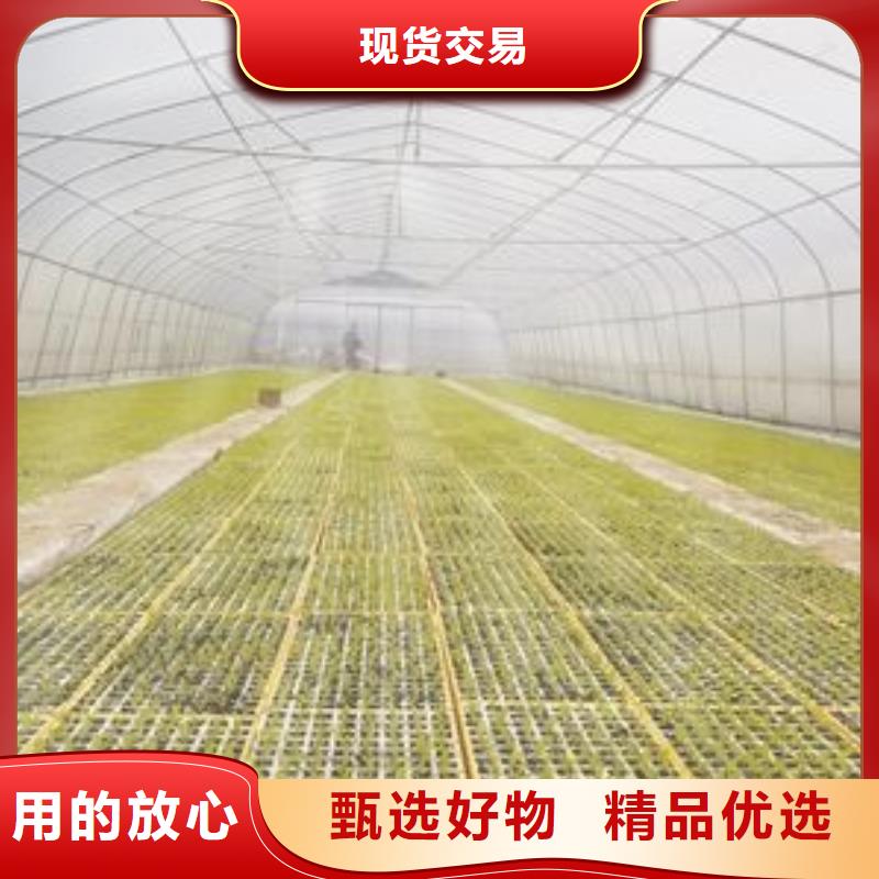 大棚管,溫室大棚管品質(zhì)信得過