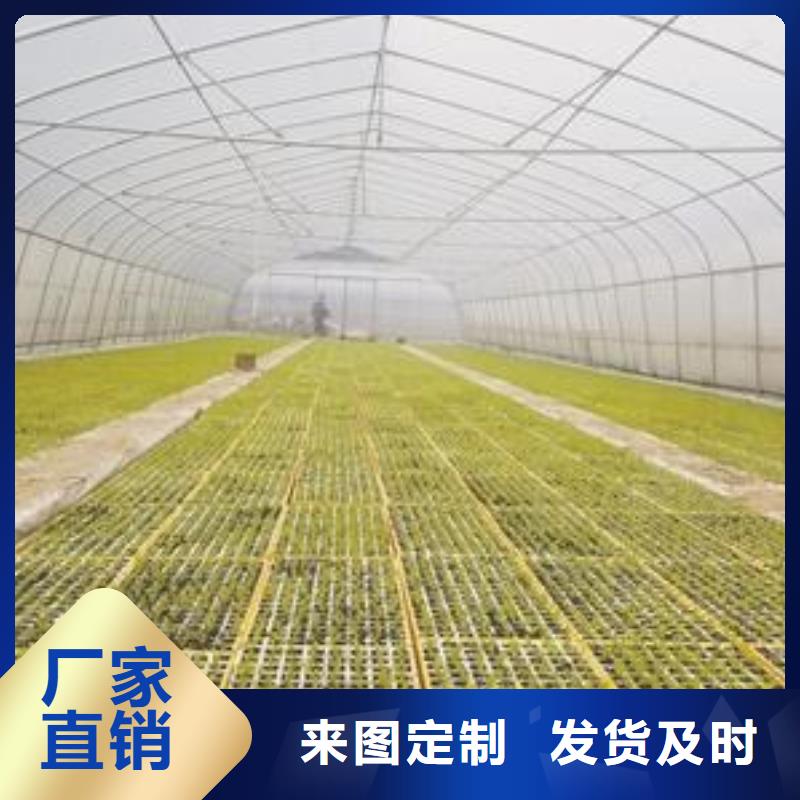 大棚管温室大棚管多种工艺