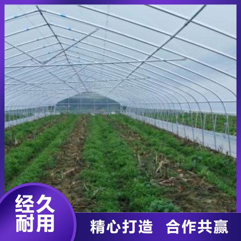 大棚管溫室大棚管多種工藝