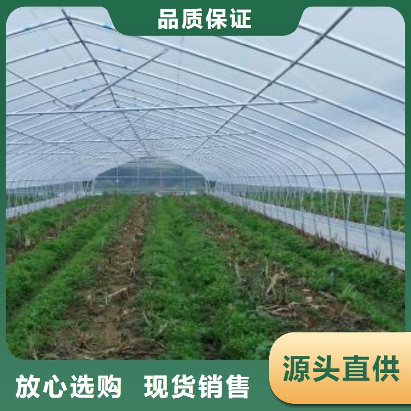【大棚管日光溫室大棚廠家工藝先進(jìn)】