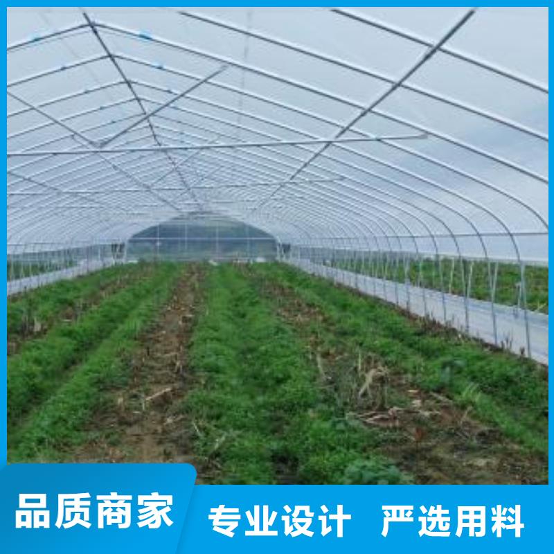 大棚管連棟大棚管用心做好每一件產(chǎn)品