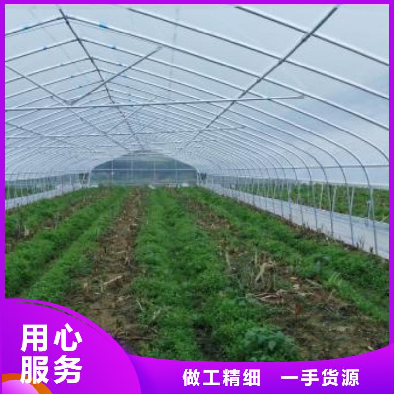 大棚管_温室大棚管客户满意度高