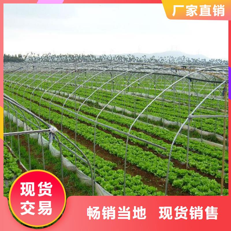 大棚管溫室大棚從廠家買售后有保障