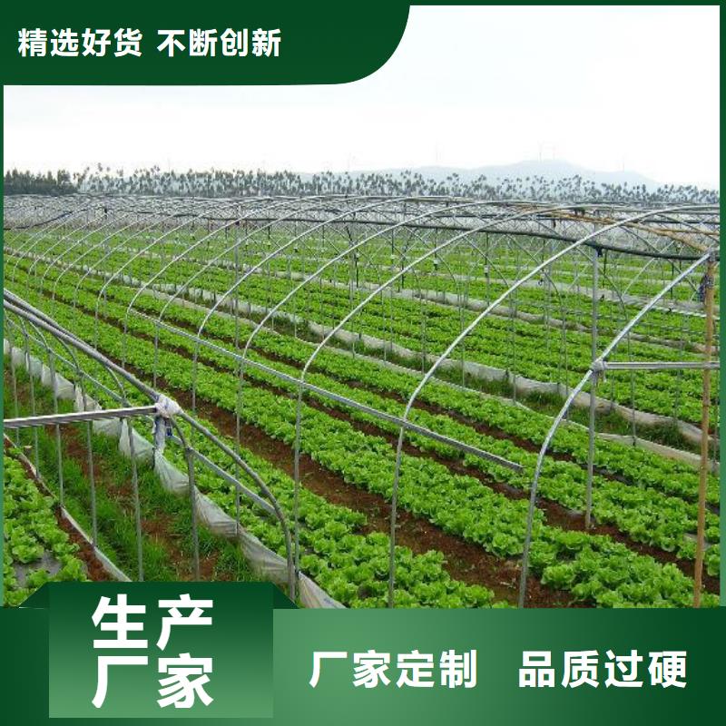 大棚管大棚管廠家品質(zhì)優(yōu)良