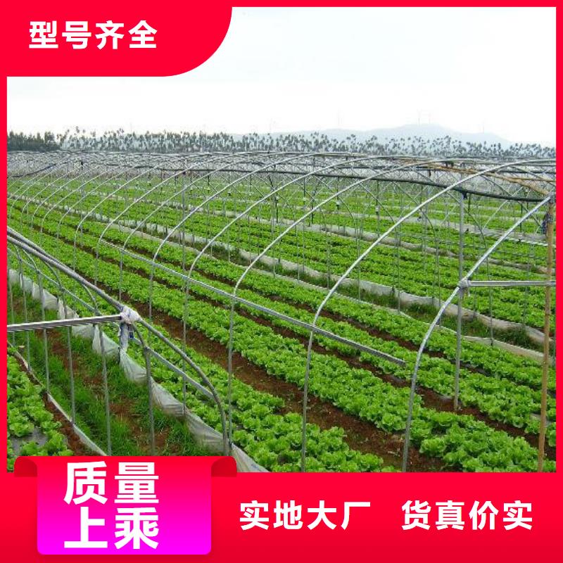 大棚管選擇我們沒錯(cuò)