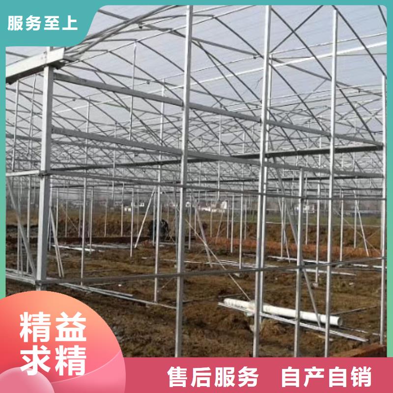 大棚管农业养殖大棚管货源稳定