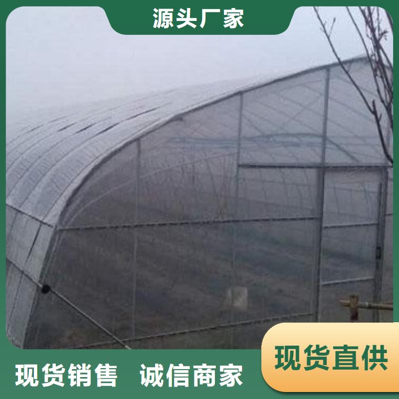 大棚管農(nóng)業(yè)養(yǎng)殖大棚管貨源穩(wěn)定