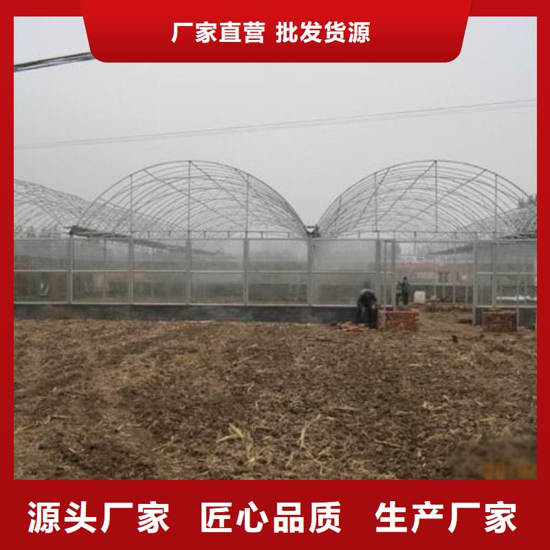 大棚管大棚管廠家好品質(zhì)經(jīng)得住考驗