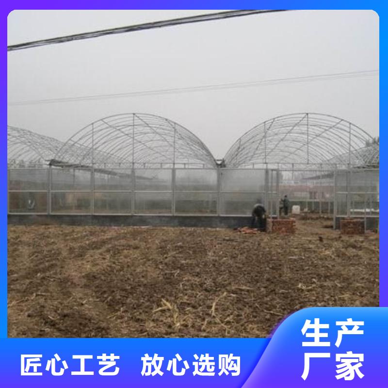 大棚管_椭圆管温室大棚多行业适用