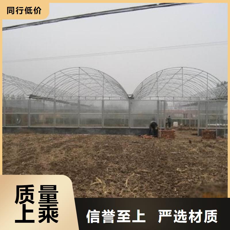大棚管蔬菜溫室大棚管一手價格