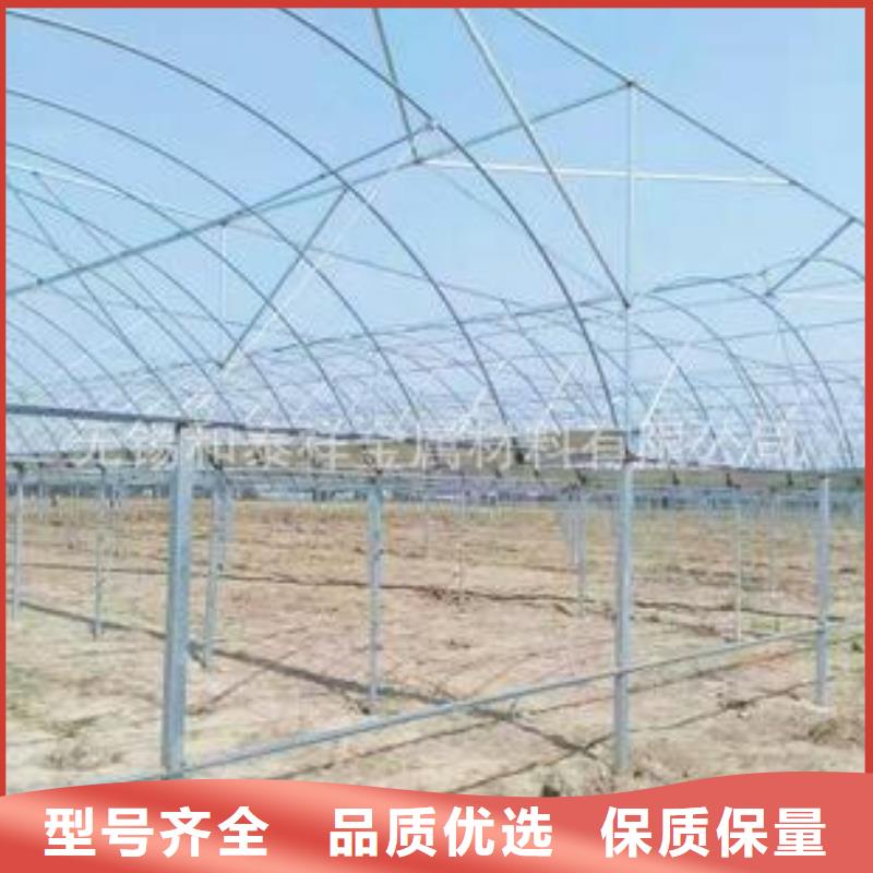 大棚管鍍鋅大棚管工程施工案例