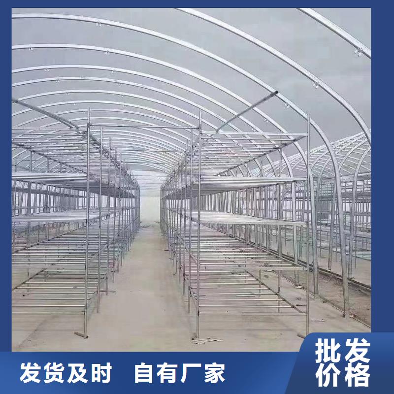 大棚管連棟大棚管用心做好每一件產(chǎn)品