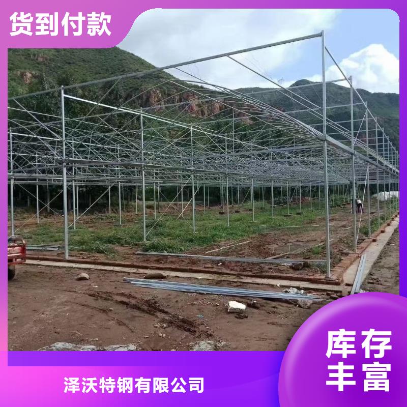 大棚管溫室薄膜大棚隨到隨提