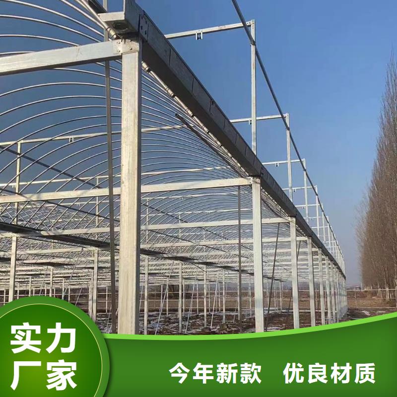 大棚管橢圓管溫室大棚合作共贏