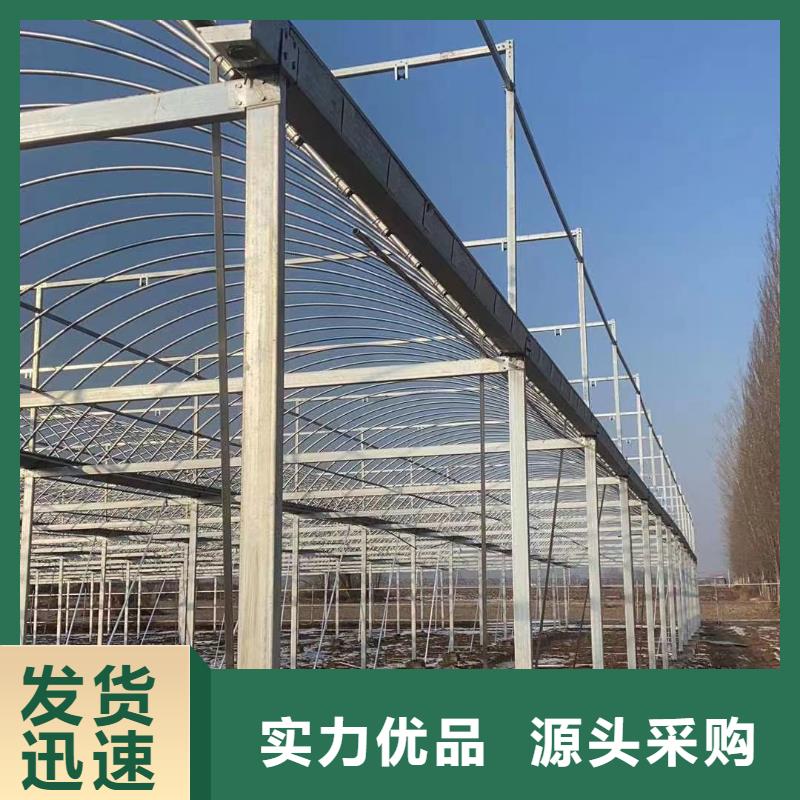 大棚管溫室薄膜大棚隨到隨提