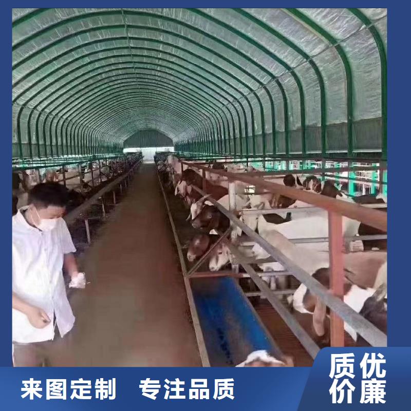 【大棚管溫室大棚管專業(yè)的生產(chǎn)廠家】