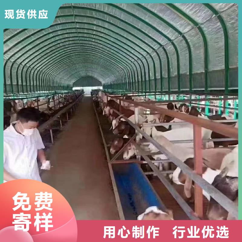 【大棚管,連棟大棚管經(jīng)久耐用】