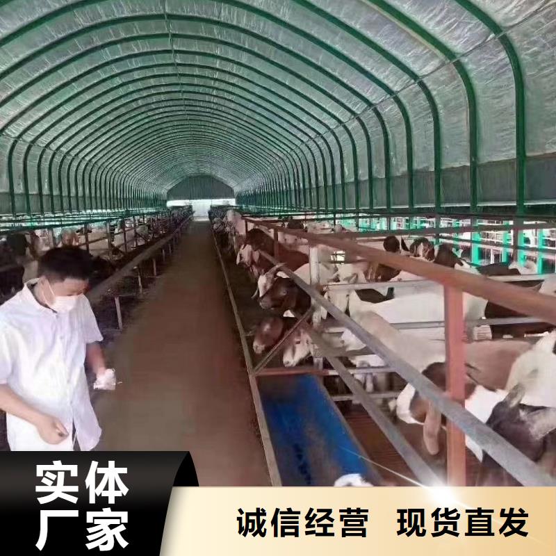大棚管品質(zhì)保障售后無(wú)憂