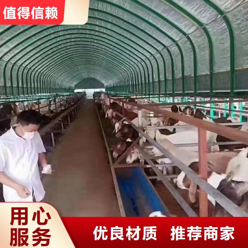 【大棚管】方矩管应用范围广泛