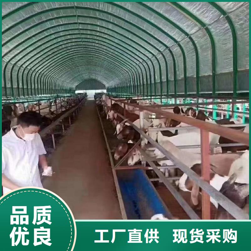  大棚管出货及时