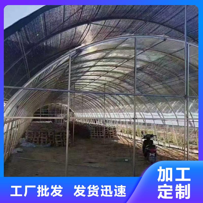 大棚管市場報價
