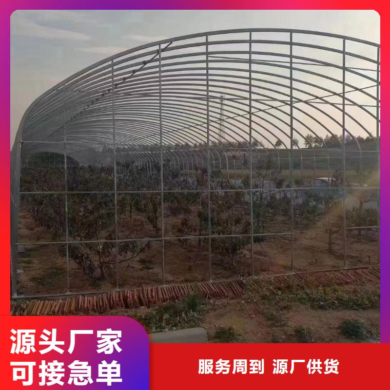 重信誉大棚管理供应厂家