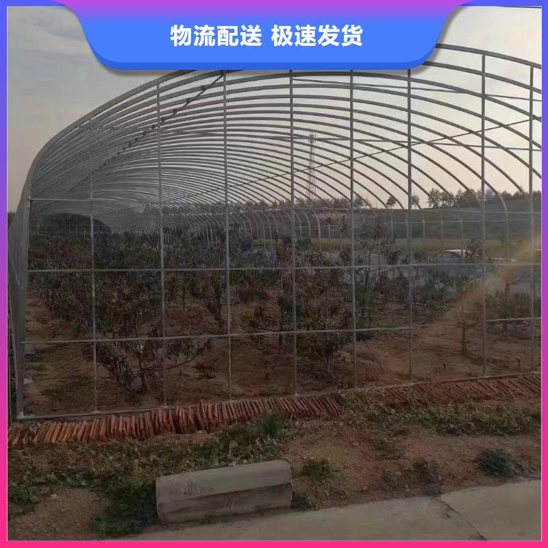  大棚管出貨及時