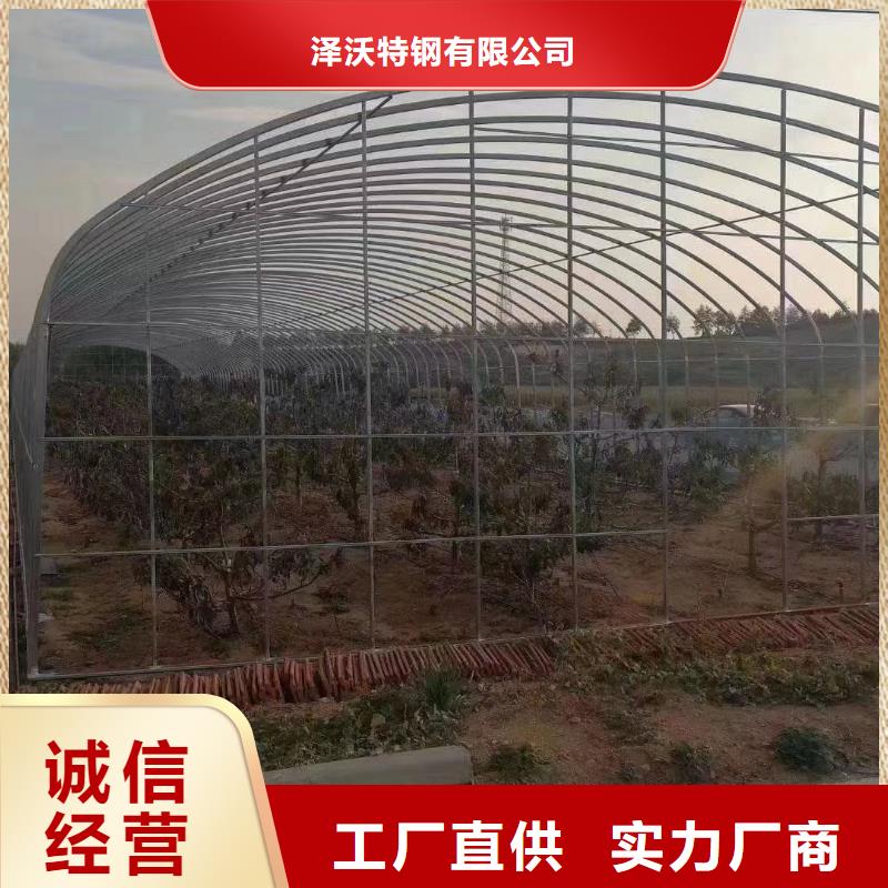 大棚管連棟大棚管用心做好每一件產(chǎn)品