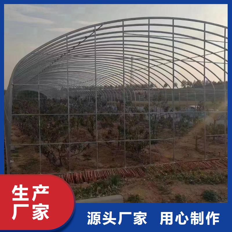  大棚管定制定做