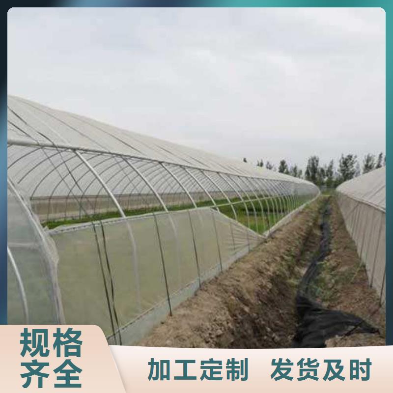 呼蘭大棚管子信息