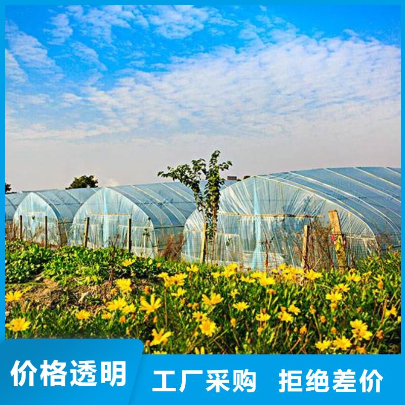 大棚管連體大棚就近發(fā)貨