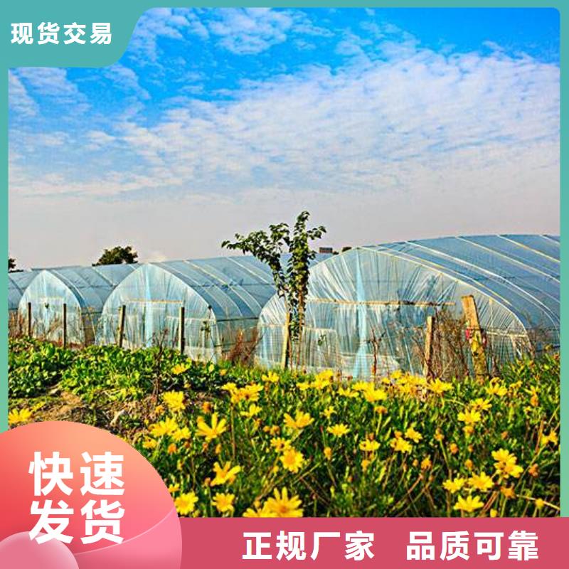 大棚管-鍍鋅大棚管品質(zhì)值得信賴