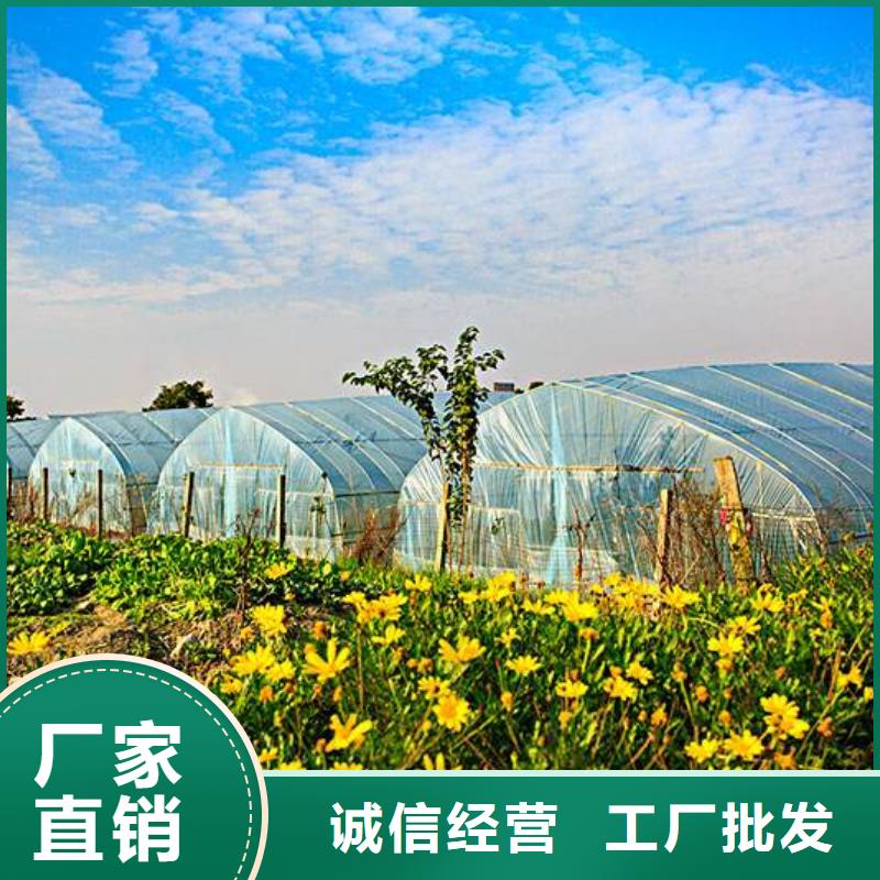 大棚管大棚管廠家批發(fā)價(jià)格