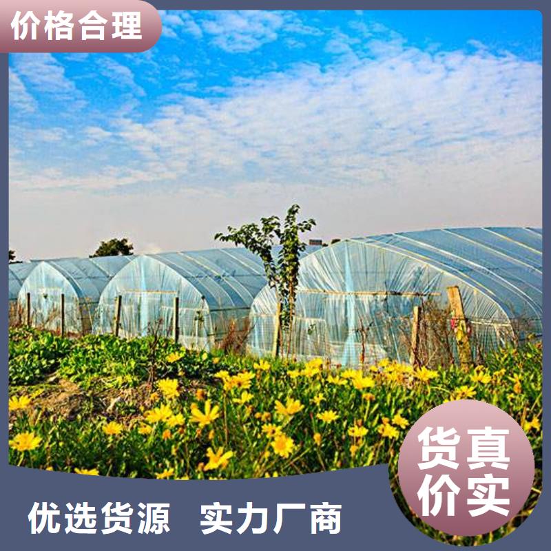 大棚管方管现货销售