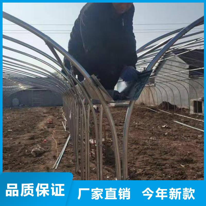 大棚管連棟溫室搭建通過檢測