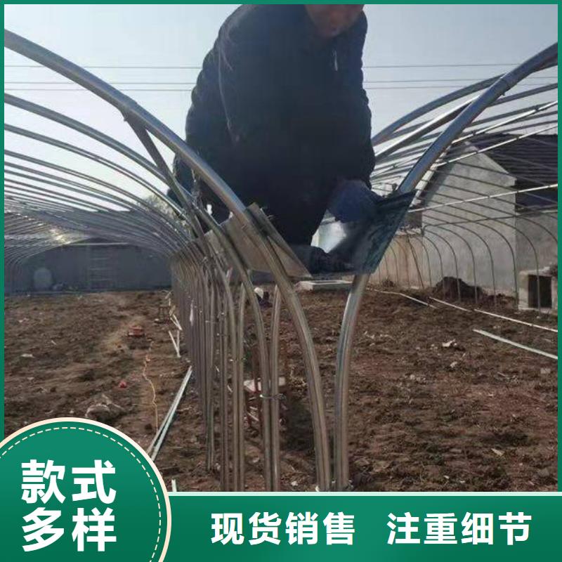 大棚管-橢圓管溫室大棚從廠家買售后有保障