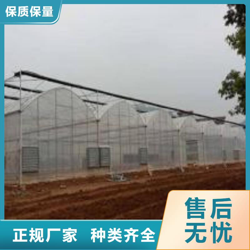 大棚管玻璃温室大棚海量货源